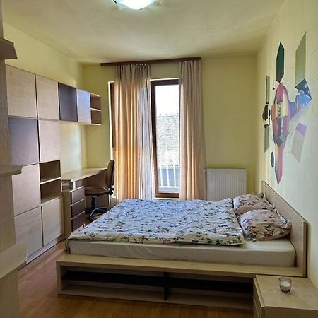 Central Apartment No1 Τιμισοάρα Εξωτερικό φωτογραφία