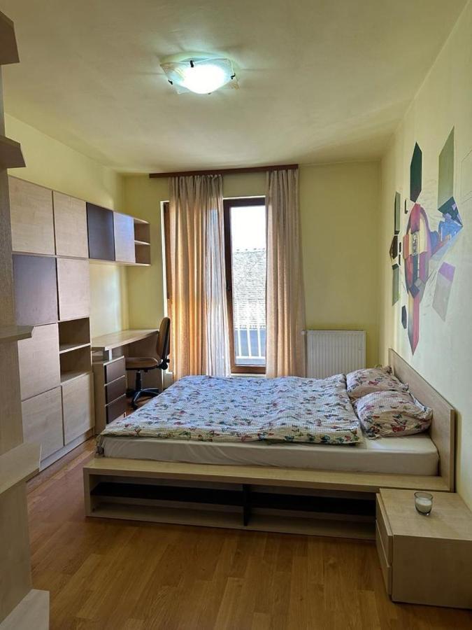 Central Apartment No1 Τιμισοάρα Εξωτερικό φωτογραφία