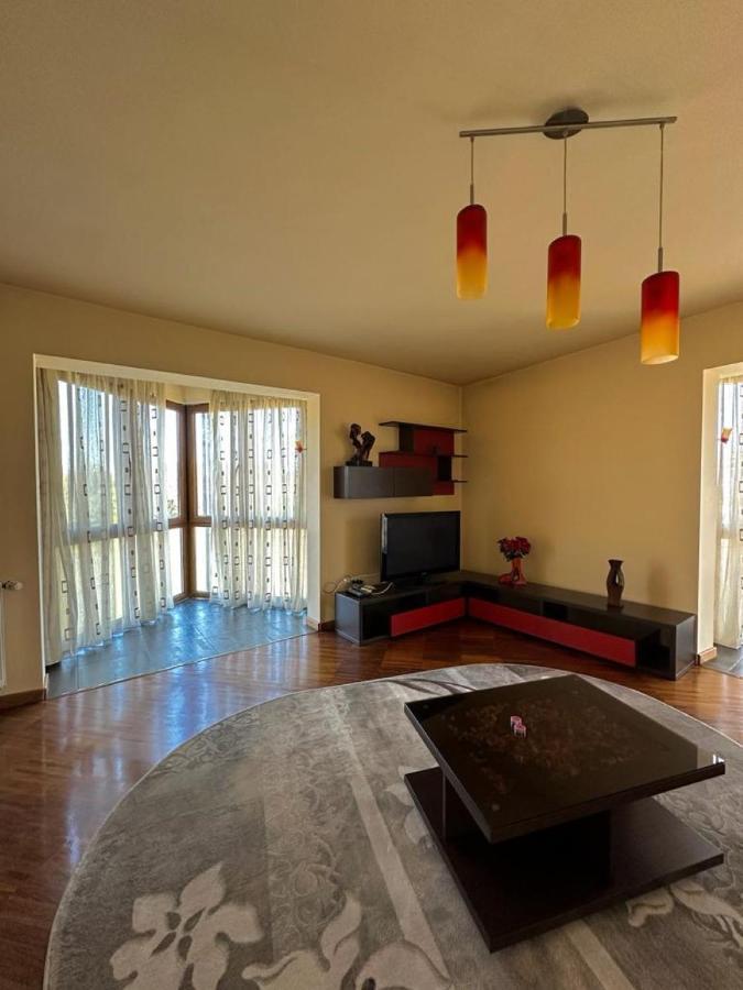 Central Apartment No1 Τιμισοάρα Εξωτερικό φωτογραφία