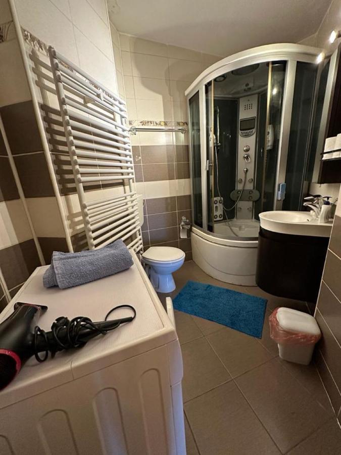 Central Apartment No1 Τιμισοάρα Εξωτερικό φωτογραφία